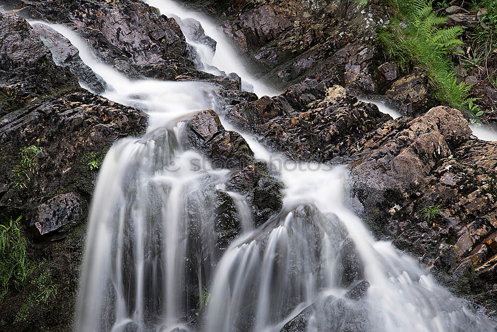 Similar – Image, Stock Photo icily Environment Nature