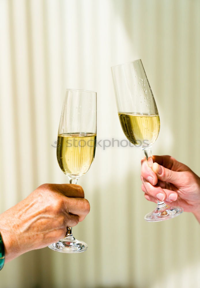 Female friends cheers clinking glasses of white wine.