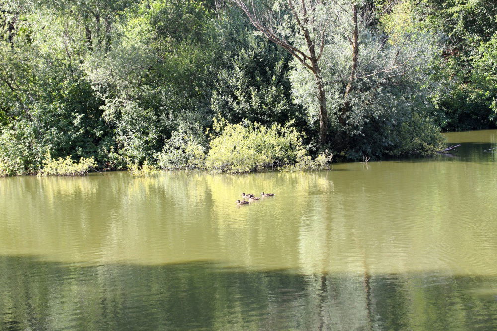 Similar – waterways Nature Landscape