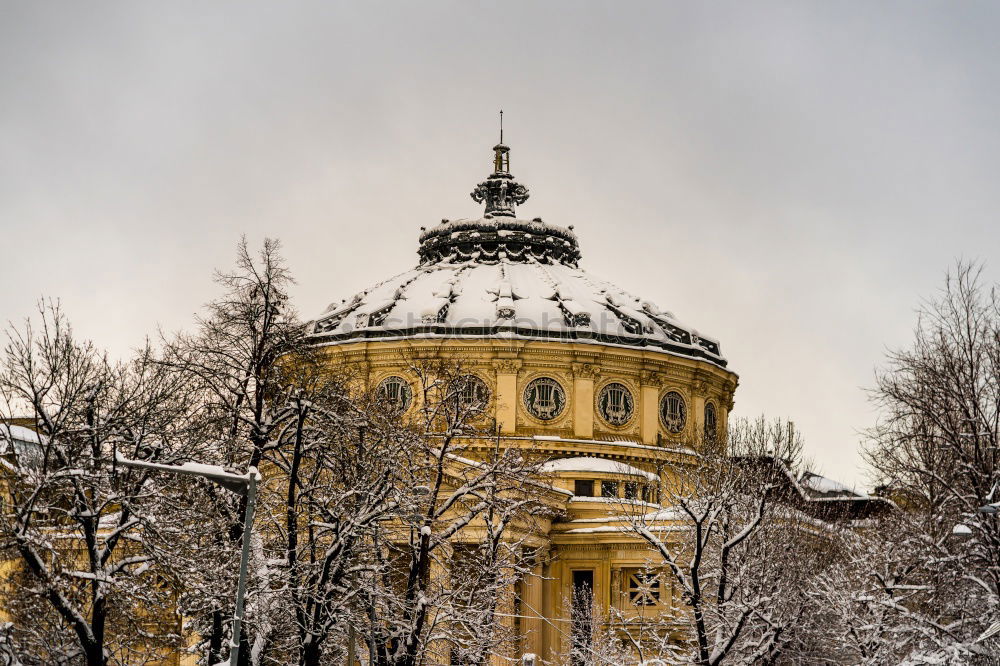 Similar – zentralfriedhof/winter