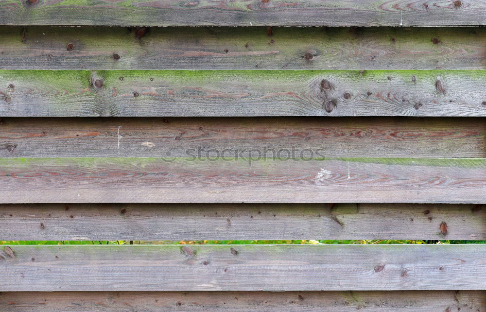 Similar – Foto Bild Grundstücksgrenze Holz