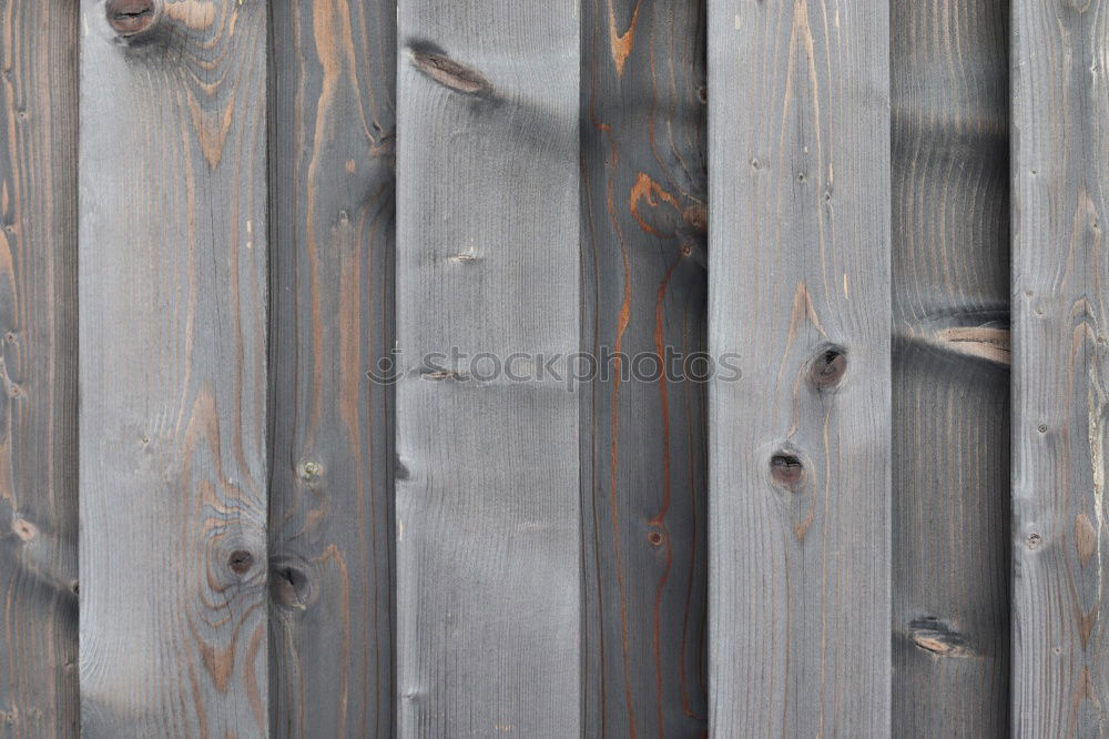 Similar – Image, Stock Photo Space. Wallpaper with forest motif, in the mirror is reflected a red and white chequered curtain and a neon tube. Lost taste, in need of renovation.