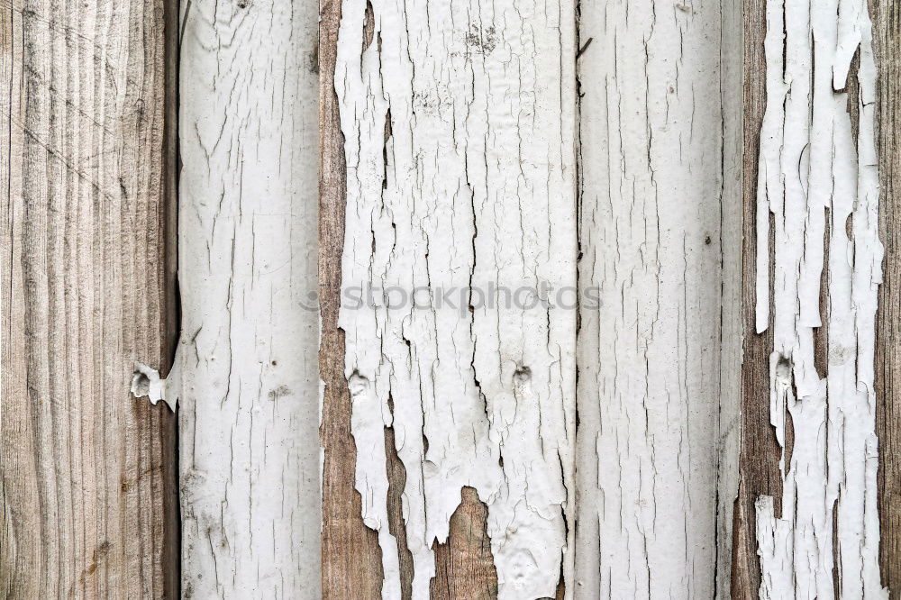 Similar – Pliers and twine on a plank with old rusty nail