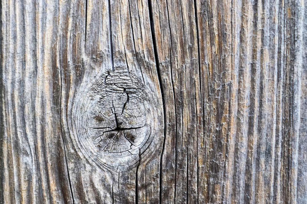 Similar – Image, Stock Photo knot hole Wood