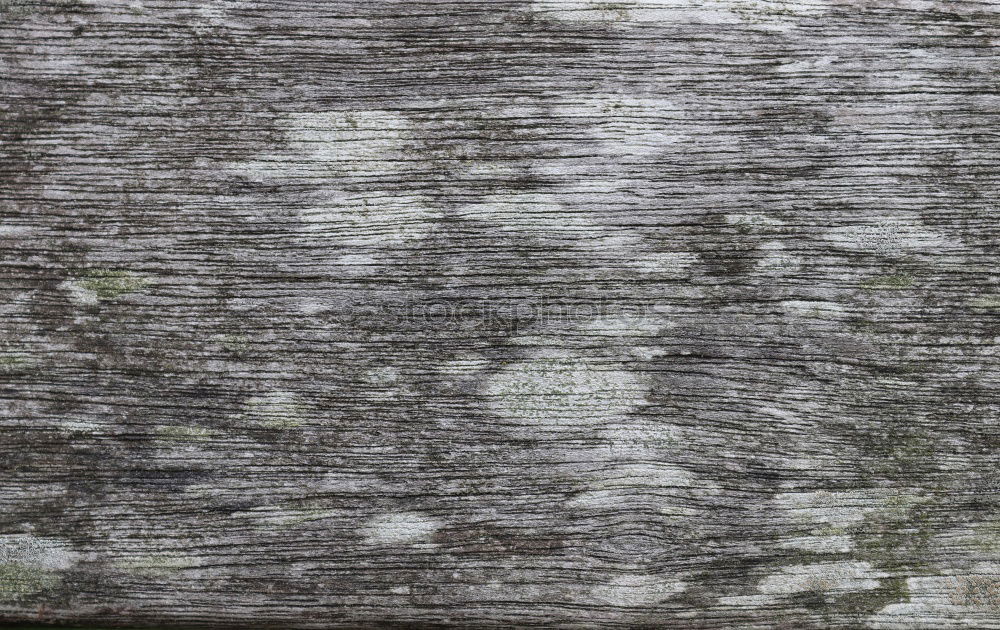 Similar – Image, Stock Photo painted wood like background concept