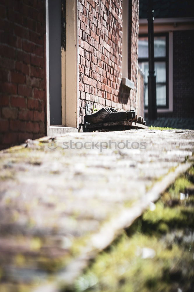 Similar – Image, Stock Photo Allotments I Environment