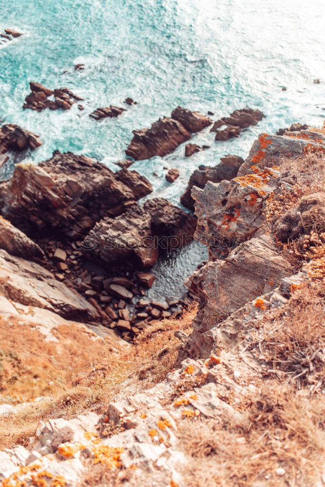 Similar – Image, Stock Photo Man standing on rocky beach