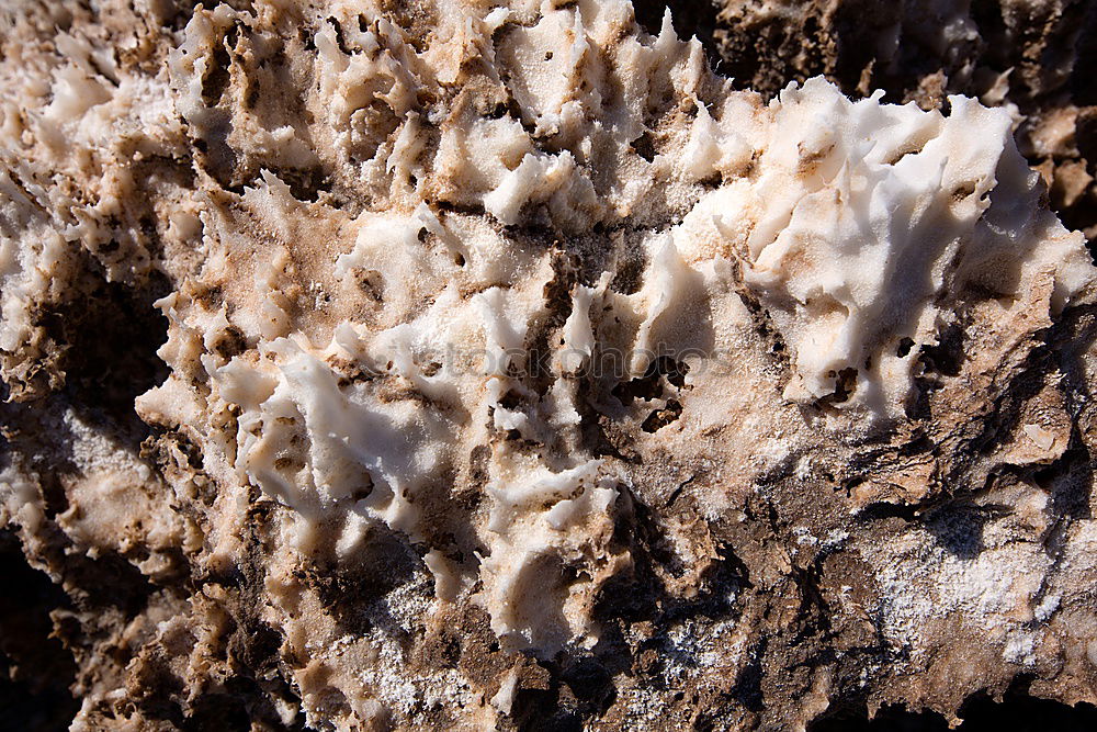 Similar – Pfütze Wasser Eis Stein