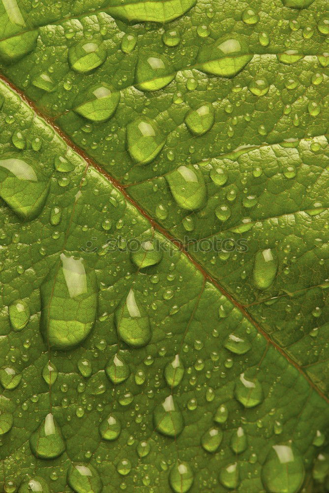 Similar – rainy season Balcony