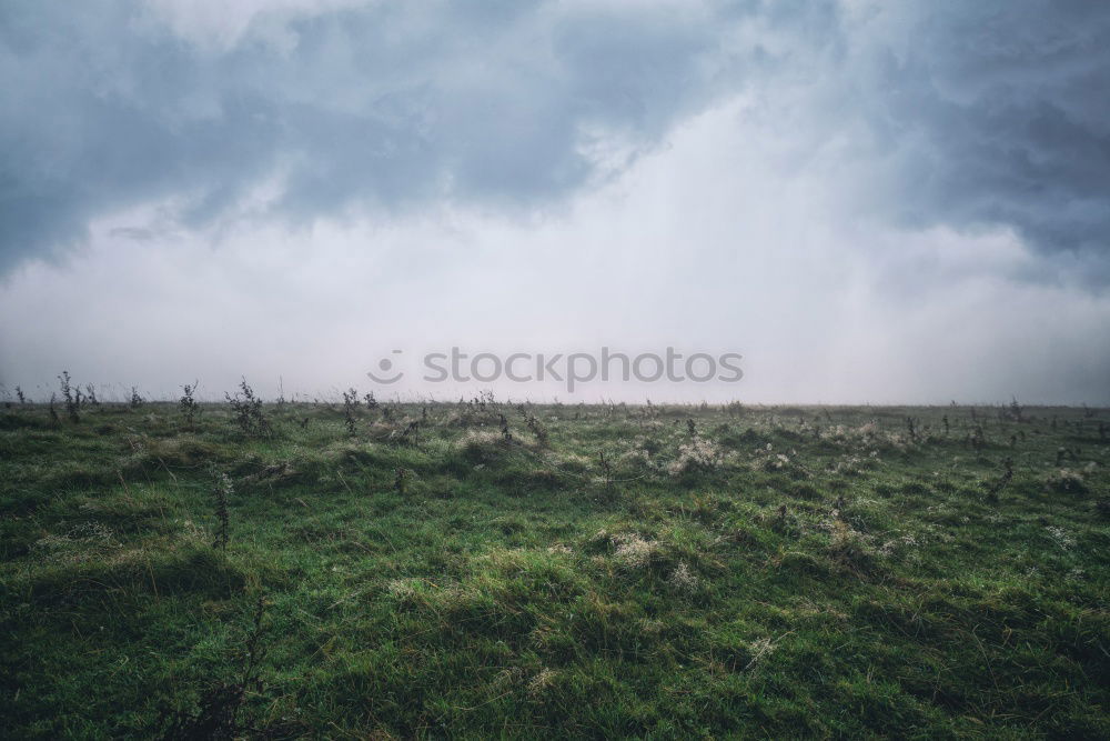 Similar – Image, Stock Photo still April Environment