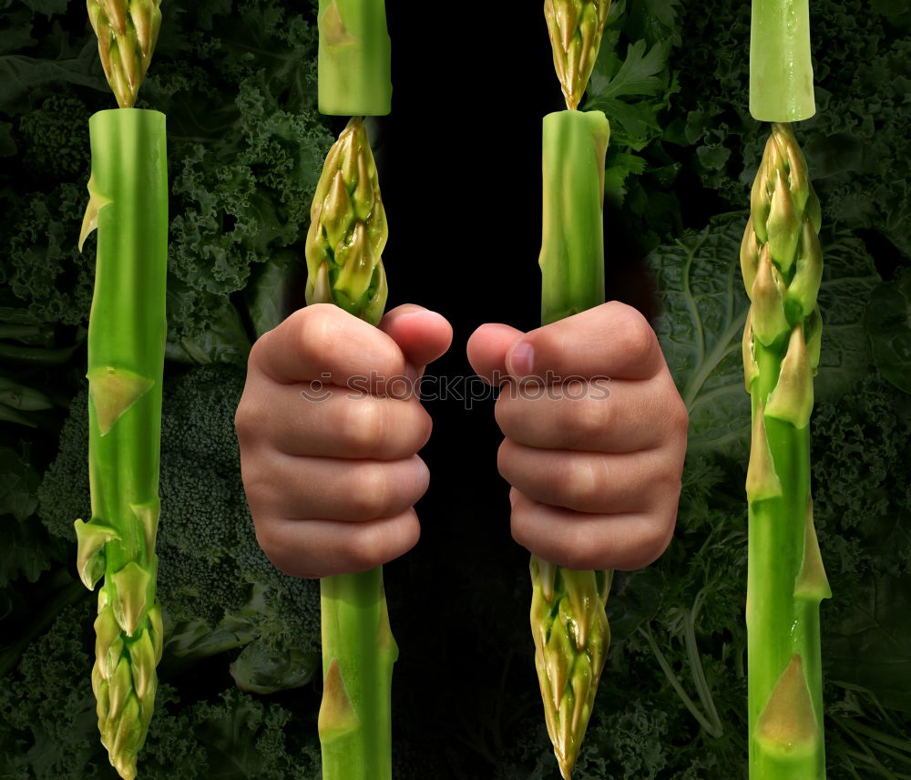 Similar – Image, Stock Photo harvest time Food