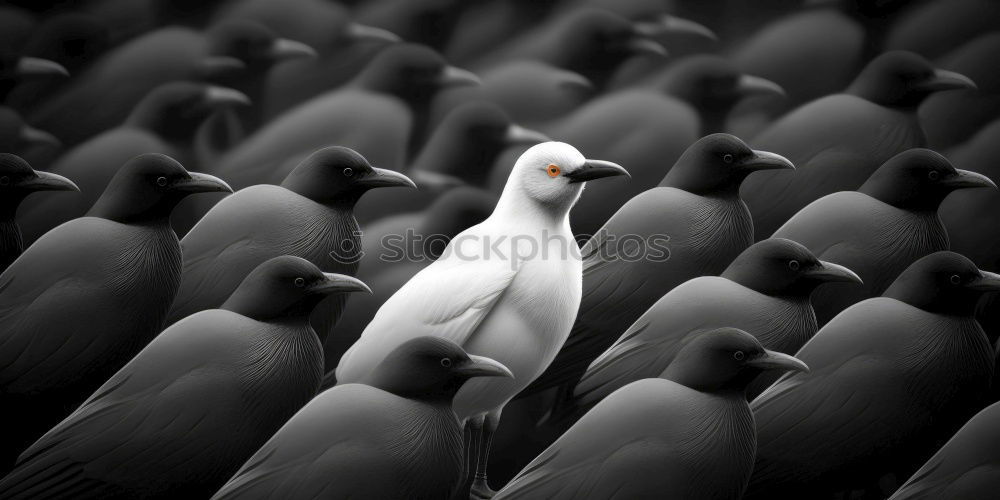 Similar – Image, Stock Photo Kuala Lumpur Bird Park I