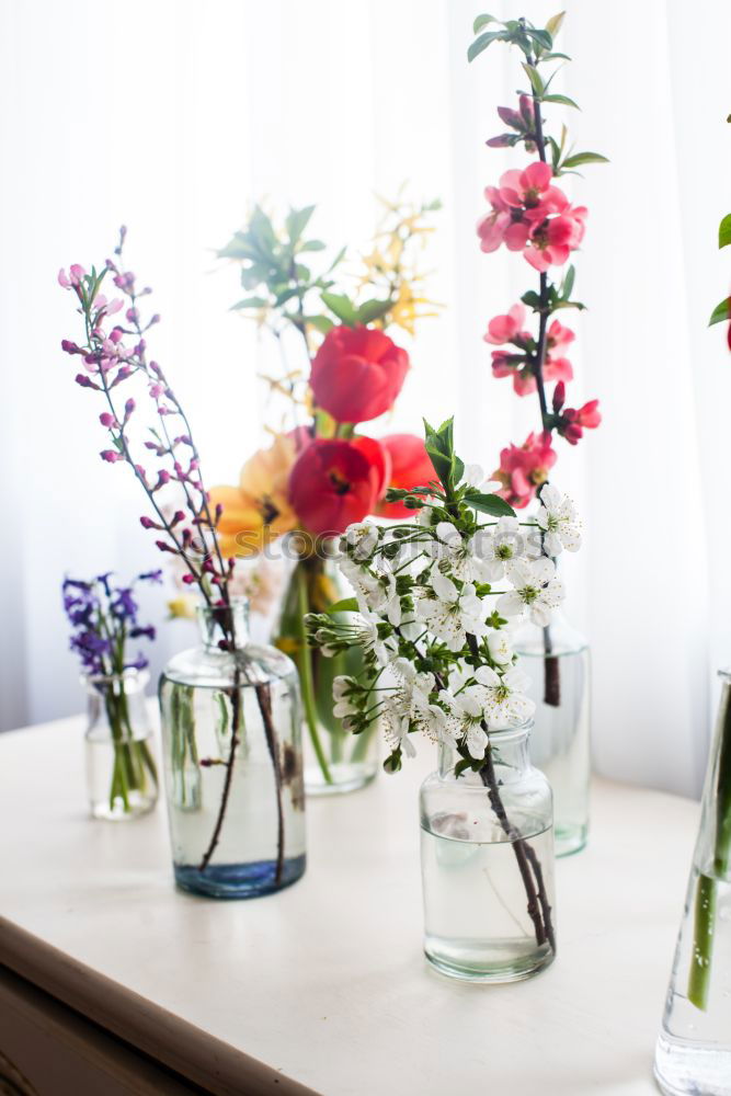 Similar – Image, Stock Photo Bouquet of flowers in a glass vase on the table in front of a window