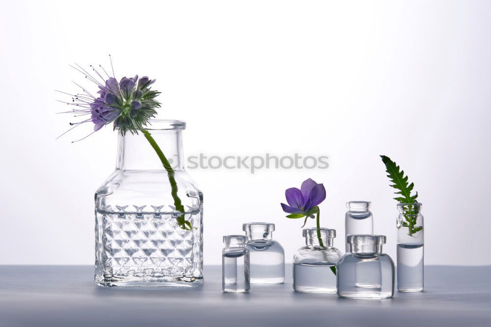 Similar – Image, Stock Photo Green face serum with pipette, flowers and herbs