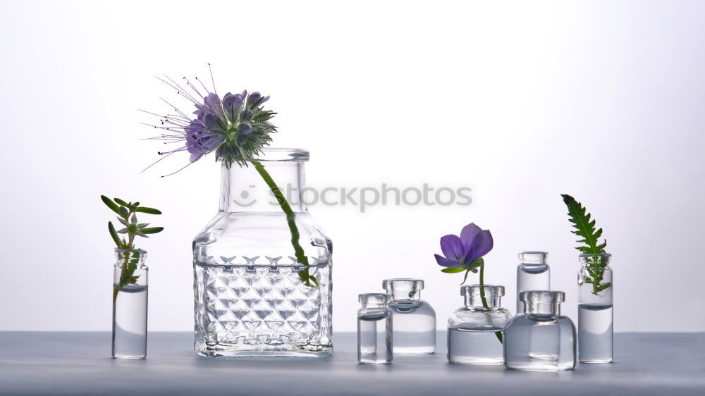 Similar – Image, Stock Photo Green face serum with pipette, flowers and herbs
