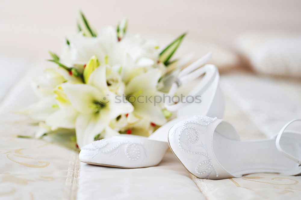 Similar – Low angle view of a pretty wedding bouquet of white flowers lying on a table top with selective focus and copyspace