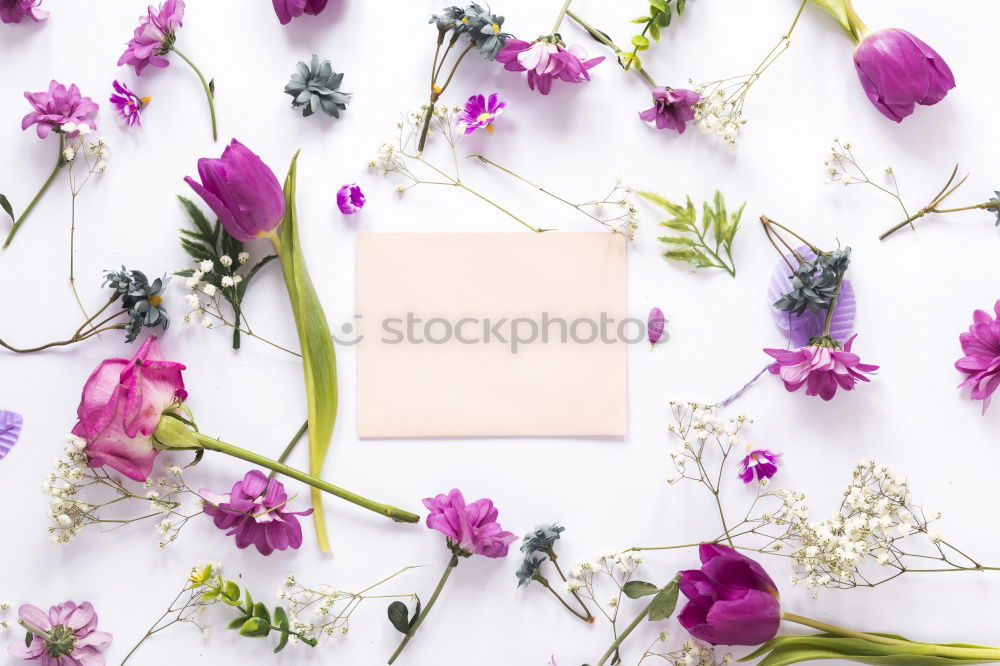 Similar – Image, Stock Photo Flower Decoration For Wedding Make