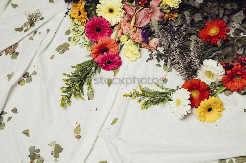 Similar – Image, Stock Photo Woman in flowered dress watering plants with hose in summer-