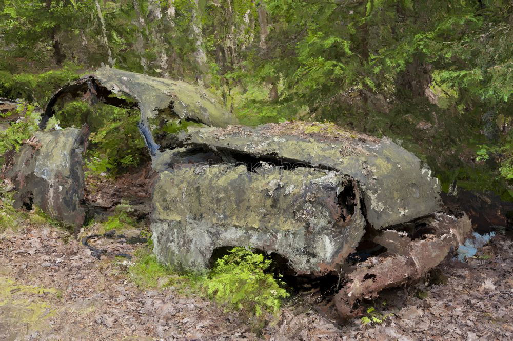 Similar – Image, Stock Photo Car cemetery 1 Environment