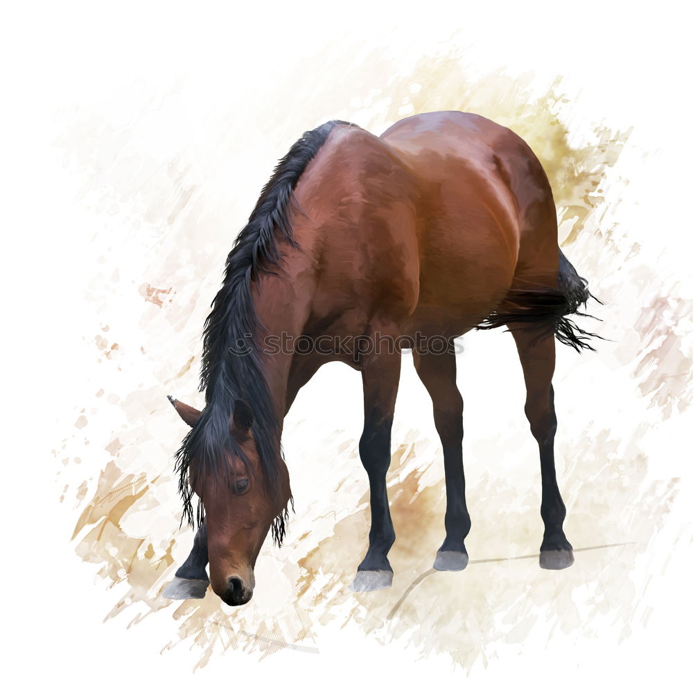 Similar – Image, Stock Photo Horses on meadow in fog