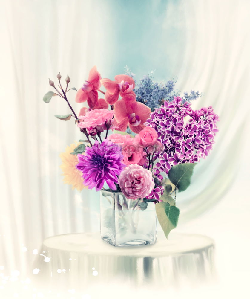 Similar – Pastel pink Ranunculus bouquet of flowers in glass jug on the table