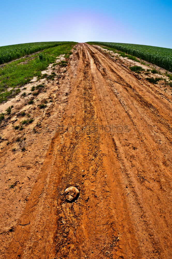 Similar – 50 kilometres straight ahead