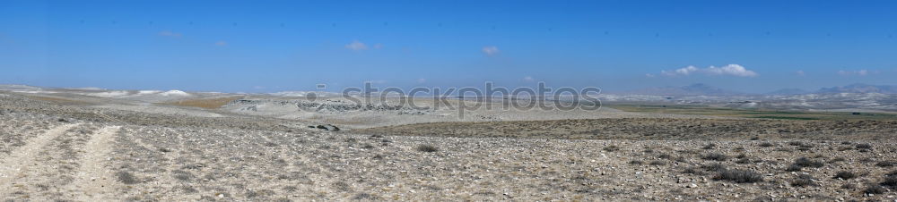 Similar – Group of trees 2 Landscape