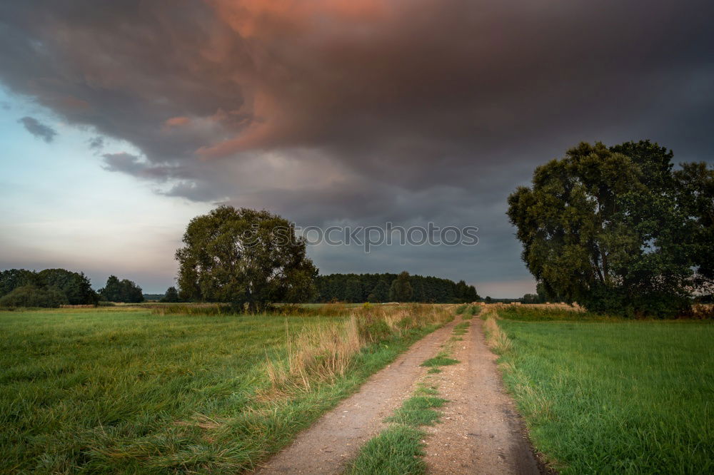 Similar – Image, Stock Photo along the road Environment