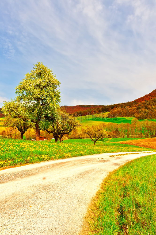 Similar – Image, Stock Photo Slag heap of the mining industry in the Mansfeld mining district at the end of a tree-lined country road