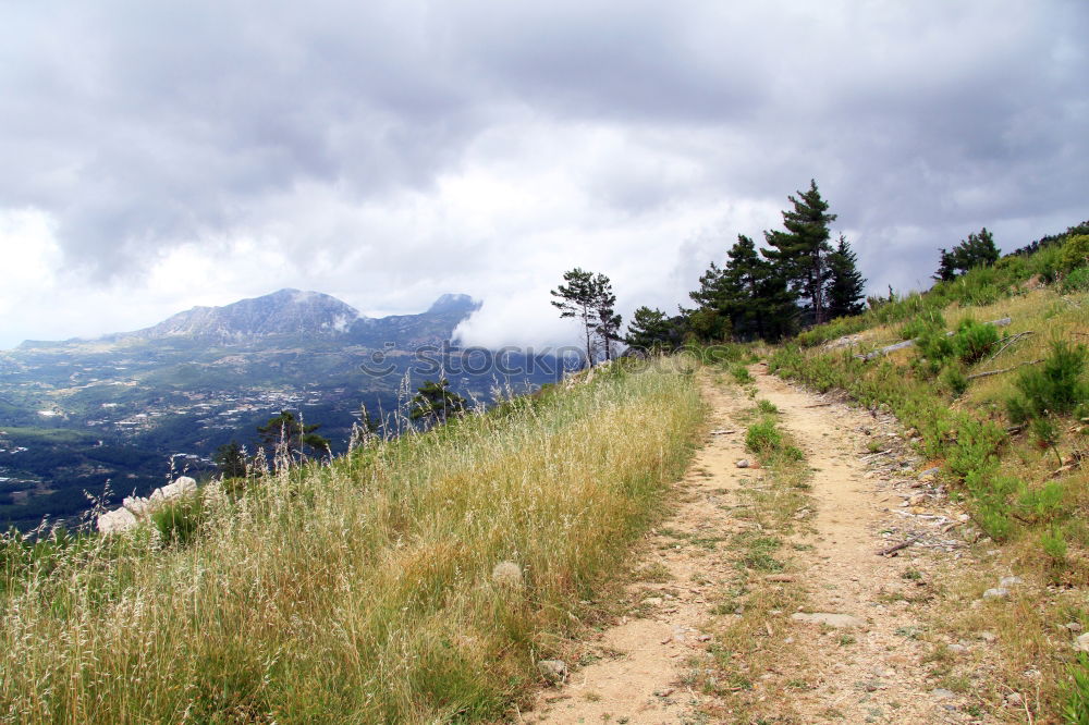 Similar – Image, Stock Photo small! Mountain Hiking