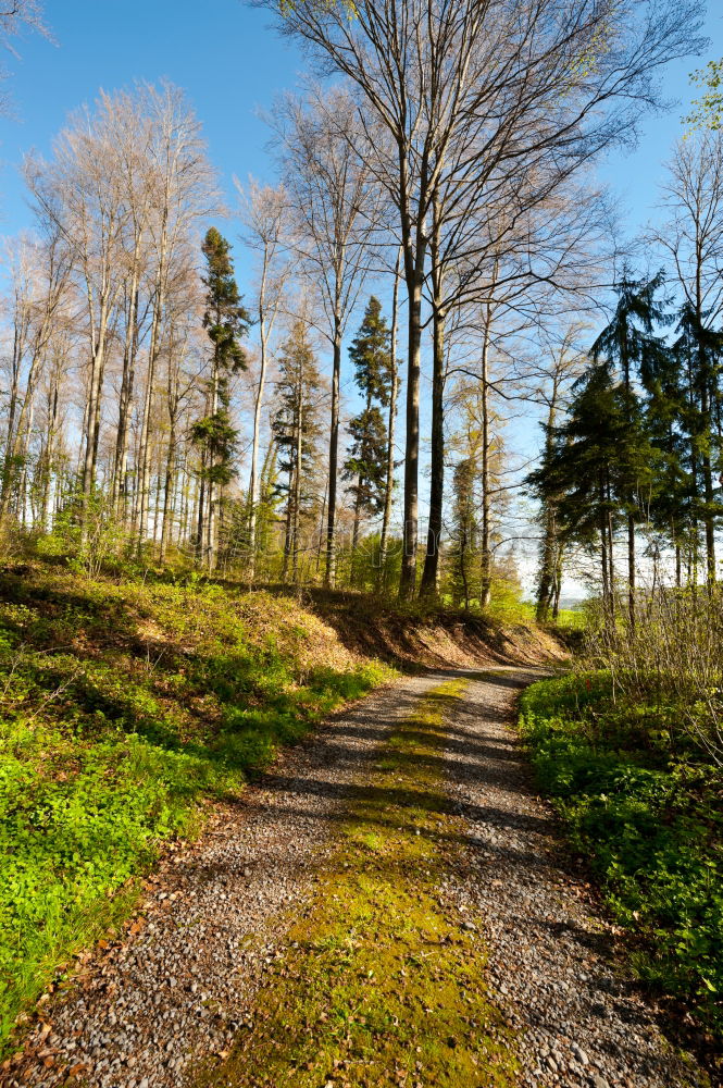 Similar – Image, Stock Photo On the road by bike