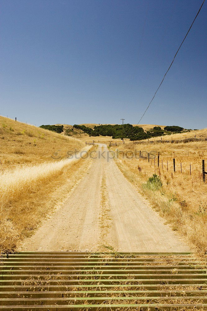 Similar – Foto Bild Weg Ferne Meer Natur