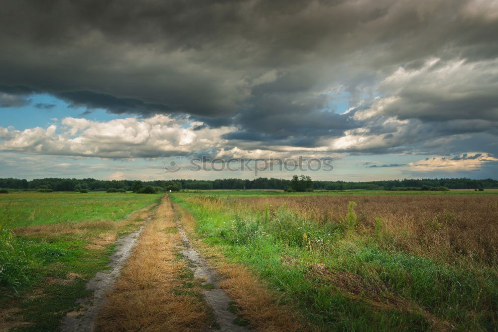 Similar – Image, Stock Photo Berlin weather Trip