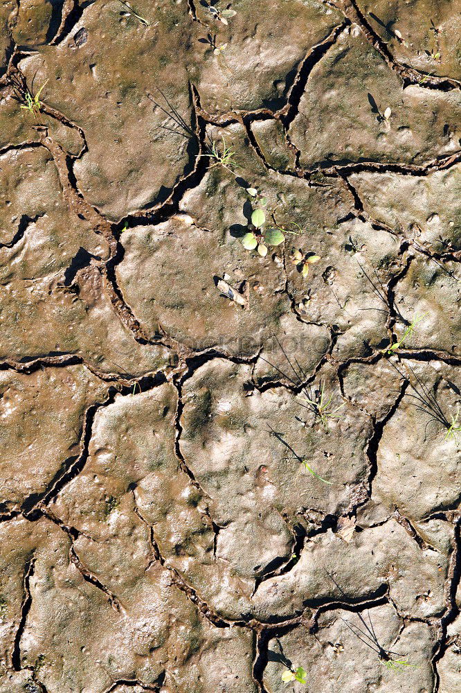 Similar – Drought Desert Earth