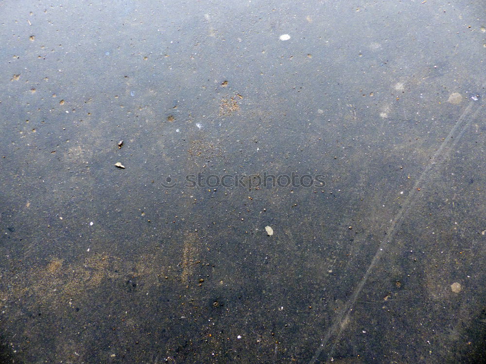 Similar – rainy day Rain Puddle