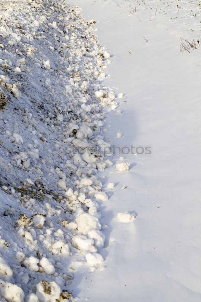 Similar – Image, Stock Photo Snow flying around