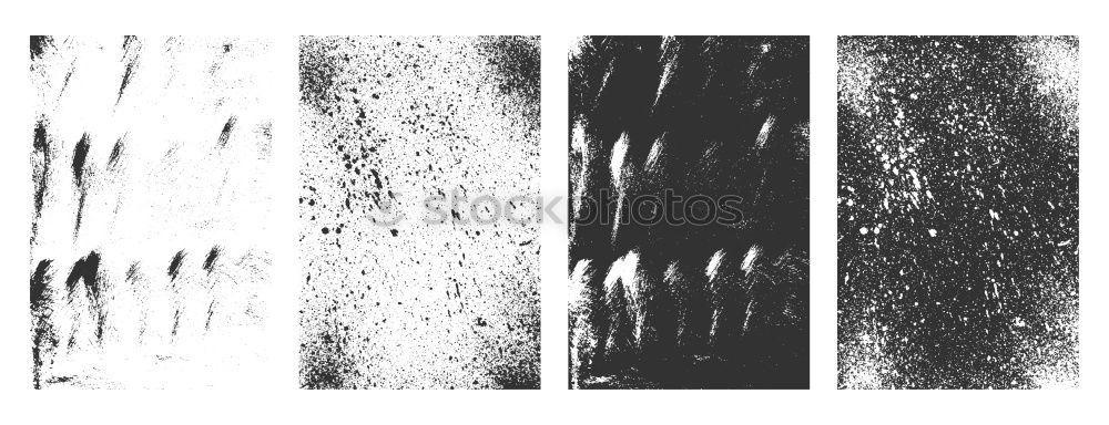 Similar – Foto Bild Grasspitzen Seil Umwelt