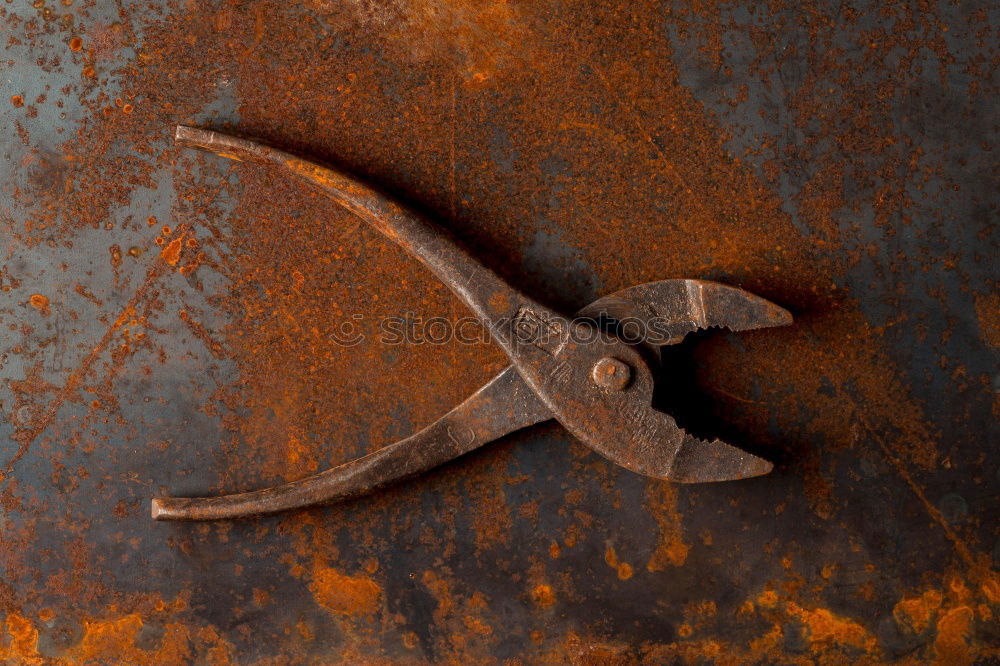 Similar – Image, Stock Photo Two rusty K(n)eif tongs with eyes nagging at each other