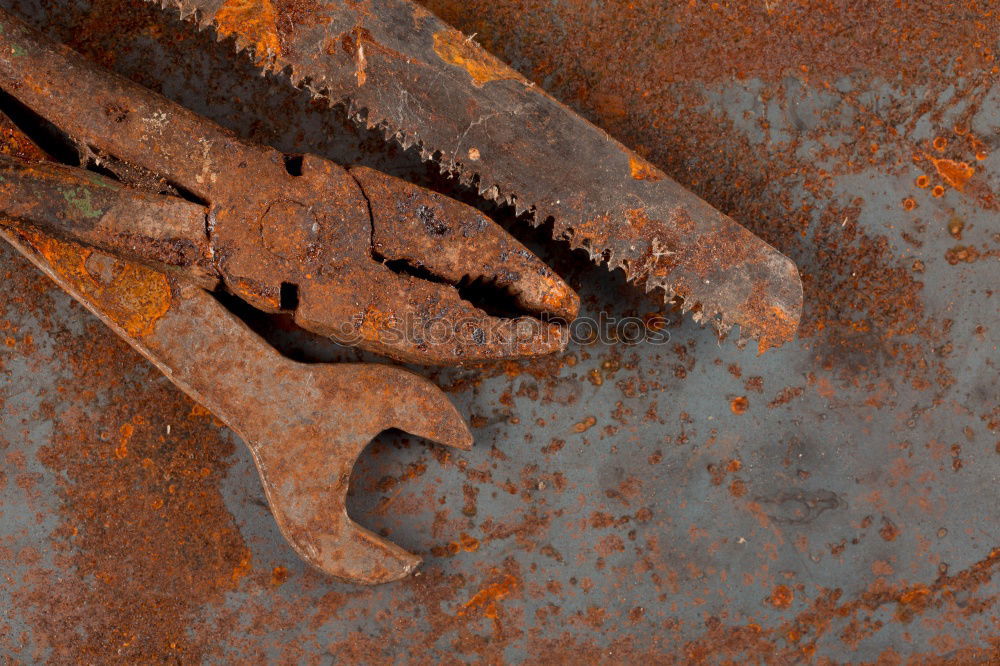 Similar – Image, Stock Photo Cracking nuts with different tools, arranged around crushed walnuts