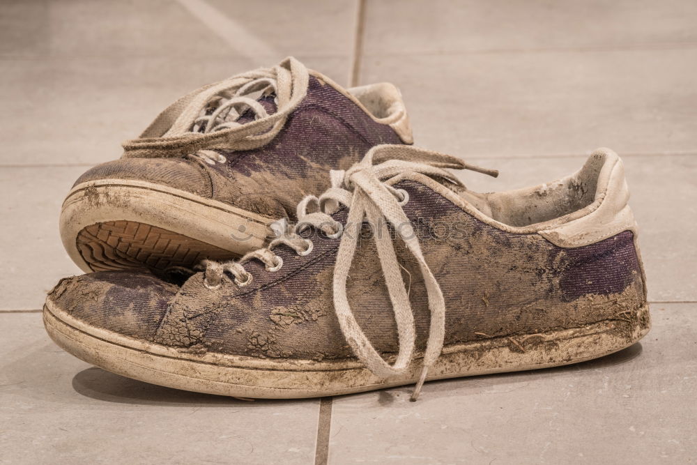 Similar – Image, Stock Photo Note: Never store leather shoes in a damp cellar.