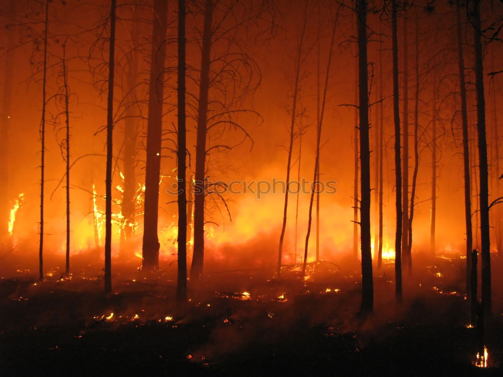 Similar – Image, Stock Photo Forest fire Agriculture