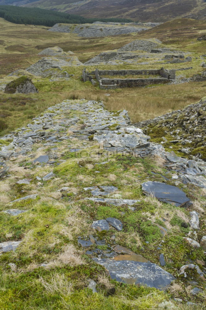 Similar – Foto Bild Aufforstung Landschaft
