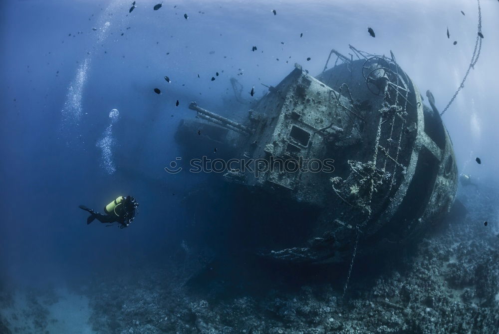 Similar – Bordgeschütz der Thistlegorm