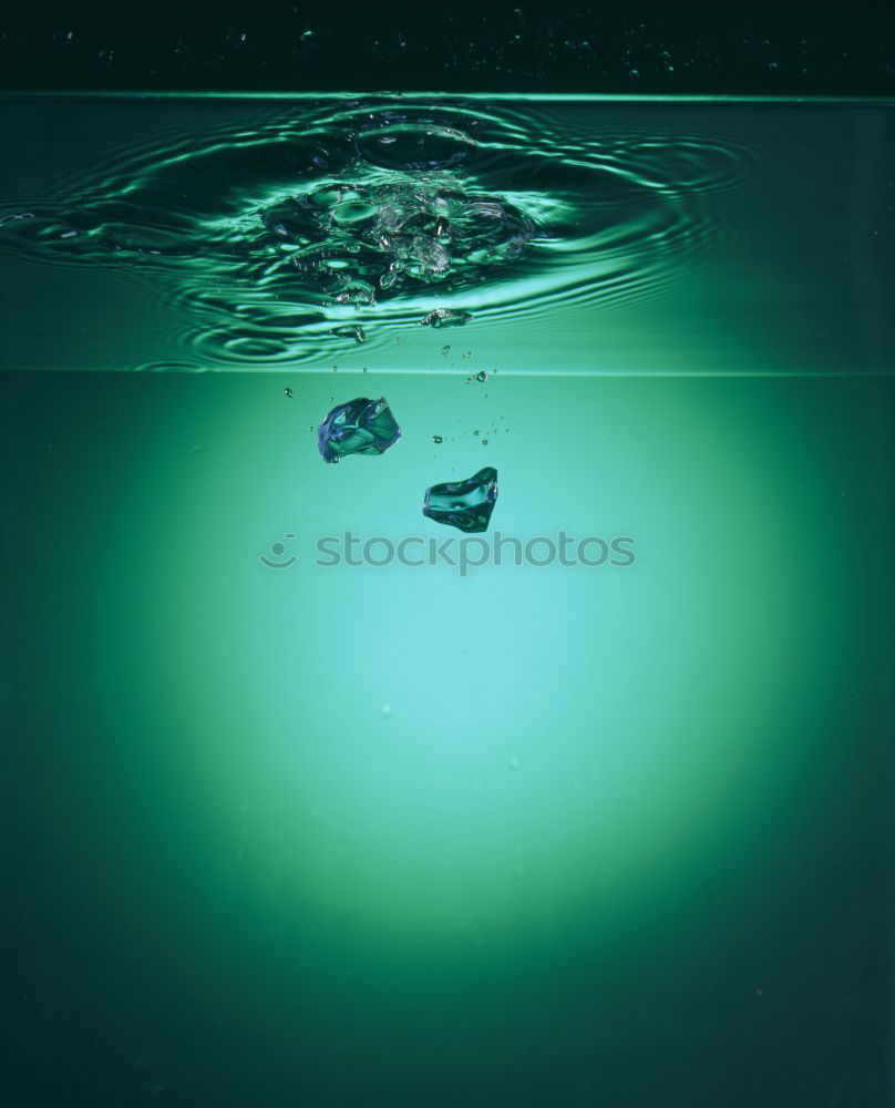 Similar – Image, Stock Photo NoPups Colour photo