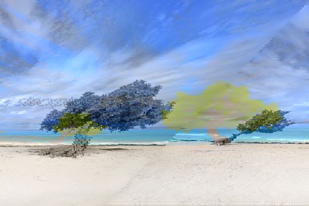 Foto Bild Immer dieser Nordwind…