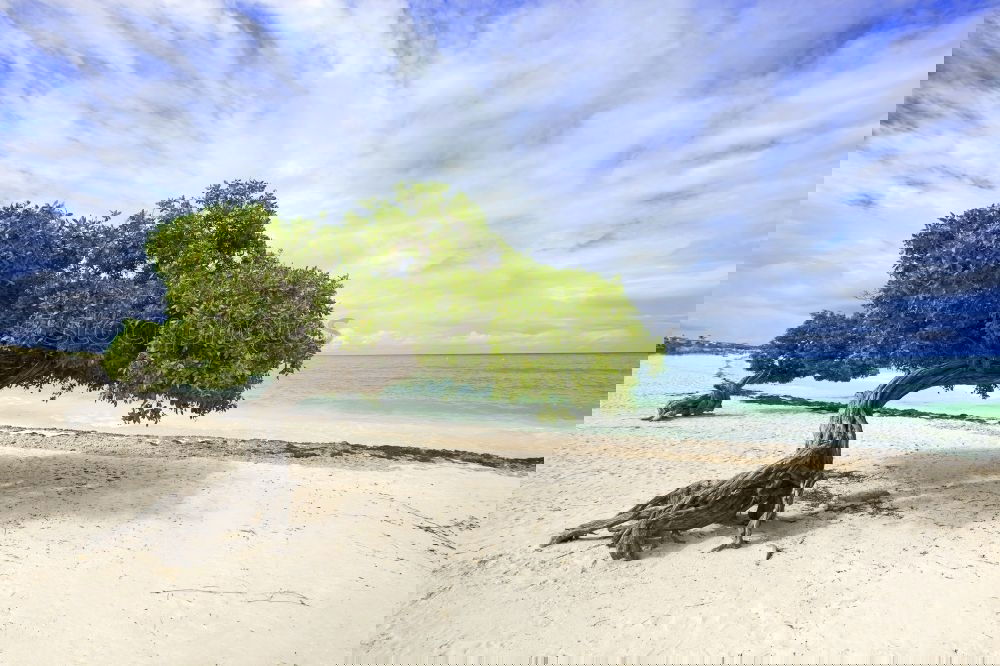 Similar – Foto Bild Immer dieser Nordwind…