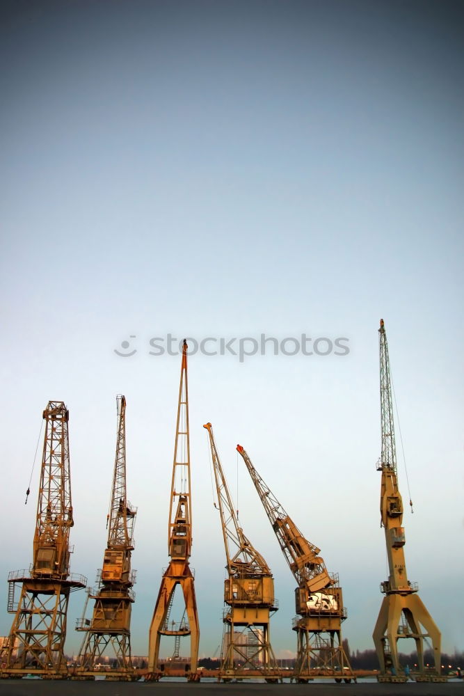 Similar – fish market Crane Seagull