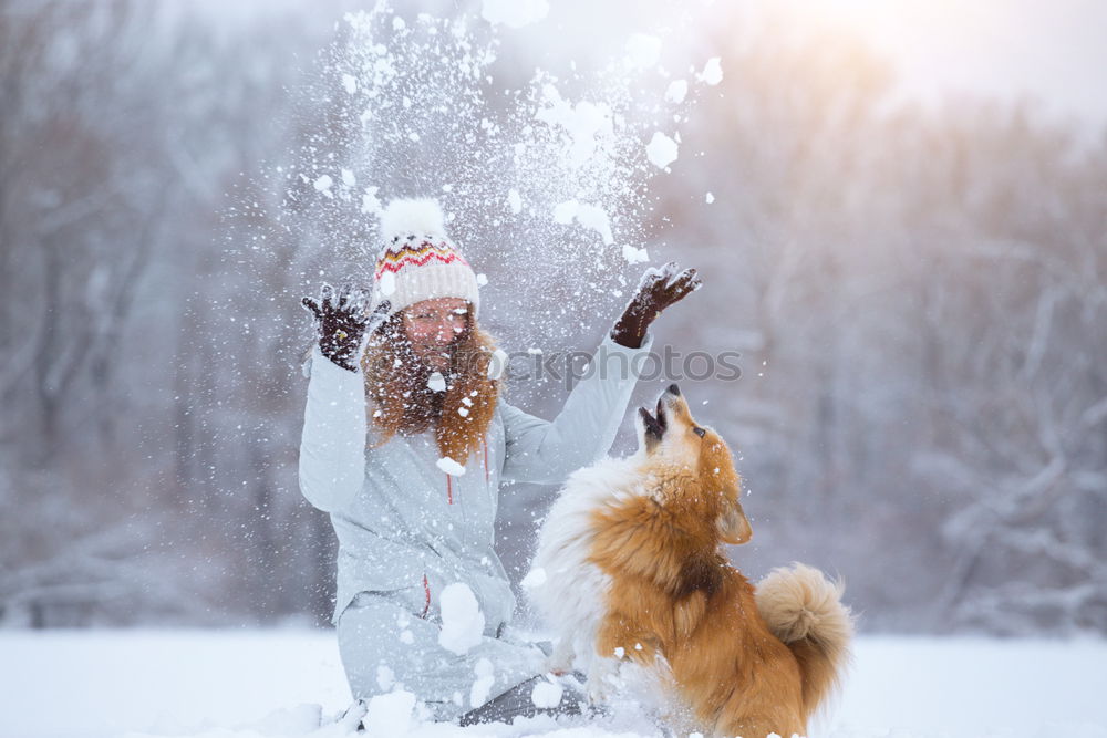 Similar – Image, Stock Photo loving the cat Lifestyle