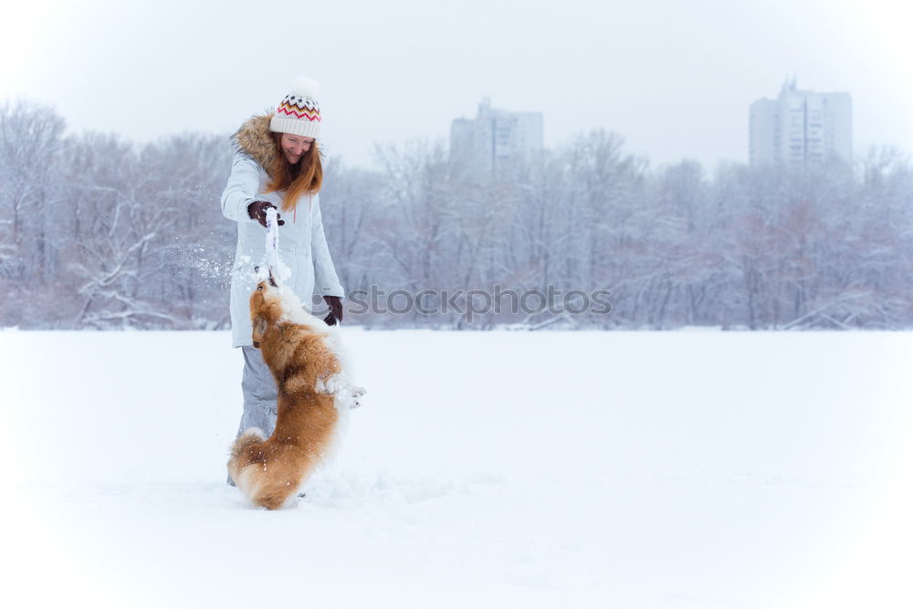 Similar – Image, Stock Photo happy & cat Lifestyle
