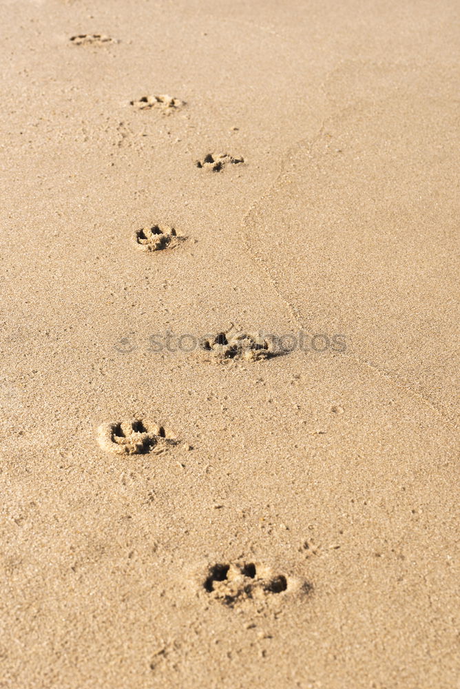 Similar – Image, Stock Photo barefoot Feet Wet Barefoot